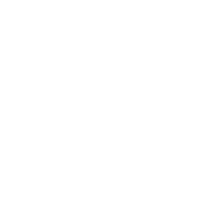 White Phone Icon